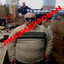 Avatar of player -ler