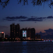 拔刀能挽住落樱吗