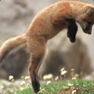 Gen_Kamakaze - steam id 76561197964536430