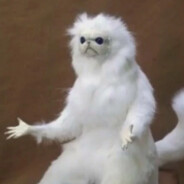 Bonsai - steam id 76561199738332801