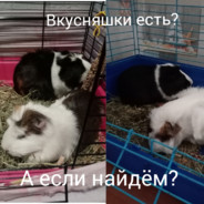 Аватар