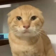 小馋猫脆皮鸡饭（四种配菜+口味自选）