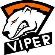 ViPeR