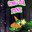 PINESOL FROG SOLD ME FENT