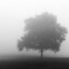 Emptiness