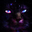 CATSTAR47