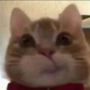 swissy Steam avatar