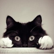 我来看看咋回事