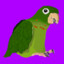 Johnstop9