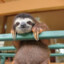 Sloth Reflex