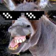 Donkey