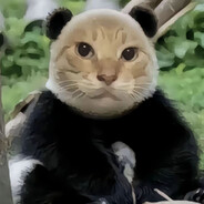 无敌起司咪咪大王