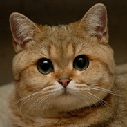 Пивчанский