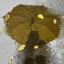 雨