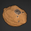Capybara Rock