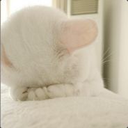 我们中出了一个叛徒