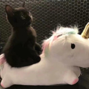 人山人海人来人往