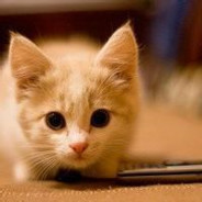 她与残局皆错过