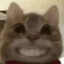 我变成一只猫。