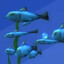 fishy