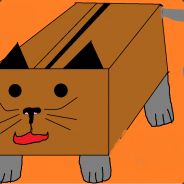 CatInBox