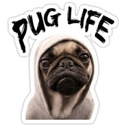 PUG