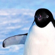 Pingüino Furioso