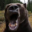 please let the leafs lose