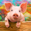 Pigg