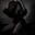 gemo_roy