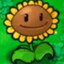 pungus