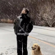 只是经过，然后遗忘