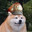 Koba