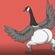 练得身形似鹤形