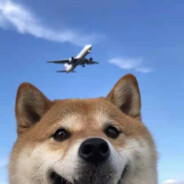 不长记性只长肉