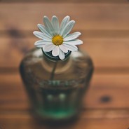 我奶奶反应都比你快