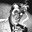 DanBoss Steam avatar