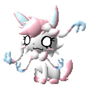 CUBA BLACK PEEK Niko