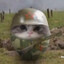 Sgt. Elgato