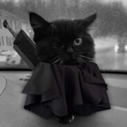 Кот Берсерк