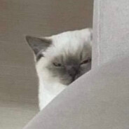 кисяяяяяяяяяяяяя