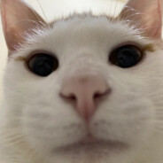 开门啊嫂子我是我哥