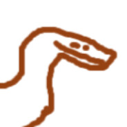 DokP