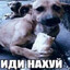 саня и бодя