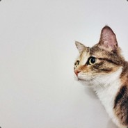 战狼冷锋流血流汗不流泪