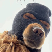 可别被我抓timing了昂