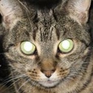 Nevarski - steam id 76561197971014110