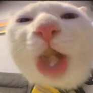 超级无敌且帅的没边