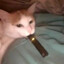=Dokin