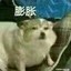 华少